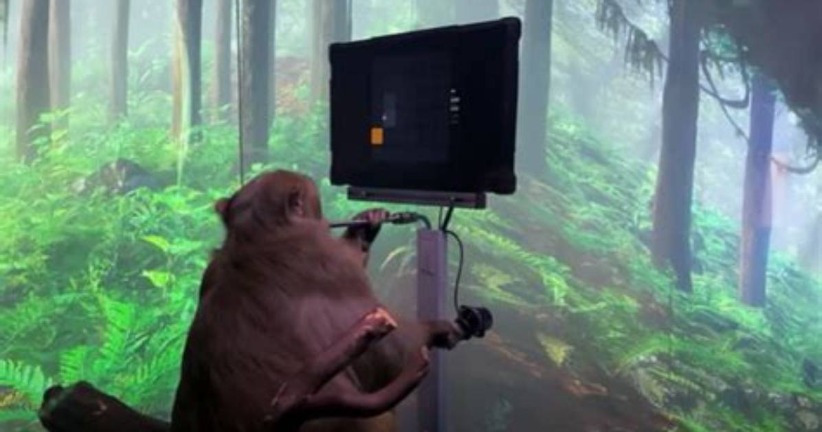 Monkey Plays Video Game with Its Mind Using Elon Musk’s Neuralink Technology
