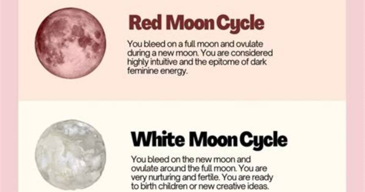 Moon Cycle – Unraveling the Layers of Feminine Power and Mystique