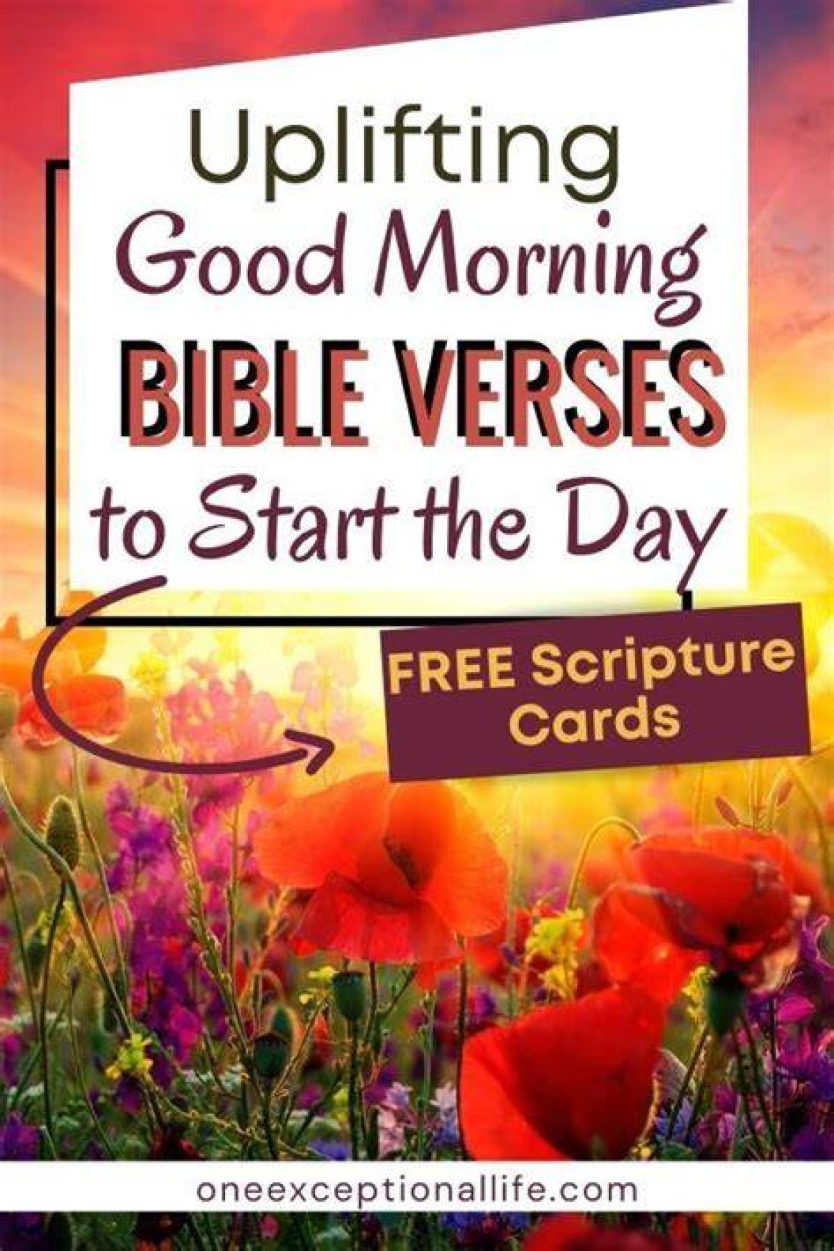 Morning Bible Greetings: Inspiring Ways to Start Your Day