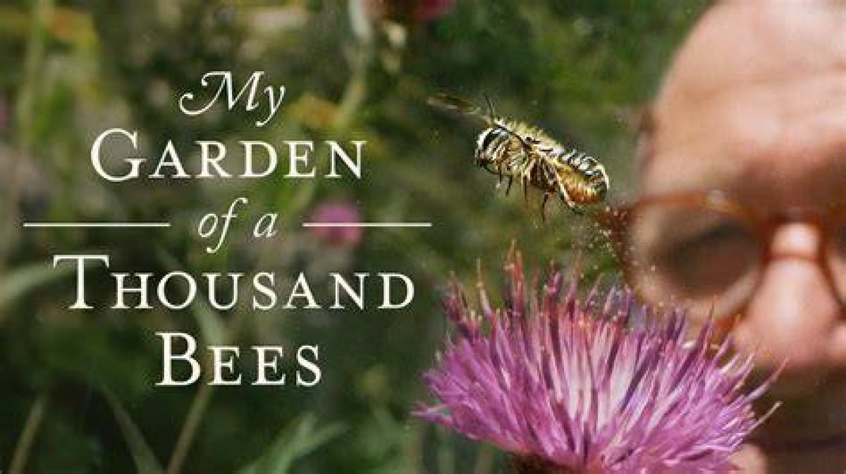 My Garden of a Thousand Bees | the Power of Pollinators | Nature