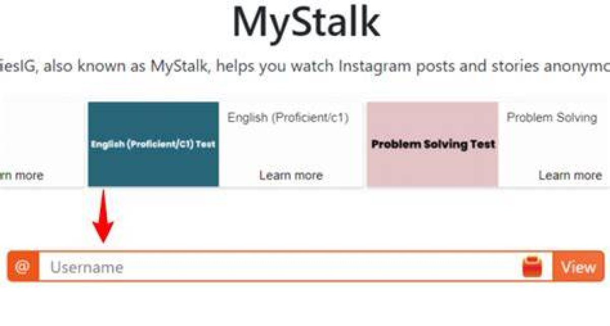 Mystalk. Net Login Safely, Analysis & Comments