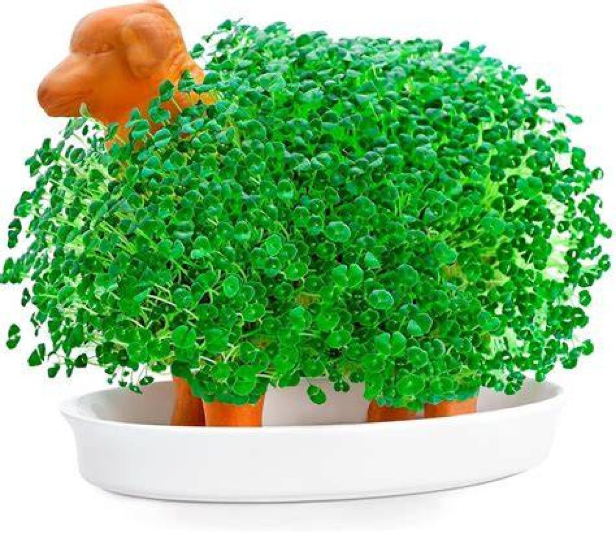 Novelty Item Where Seeds Grow to Form a Figure's Fur or Hair: 2 Wds.
