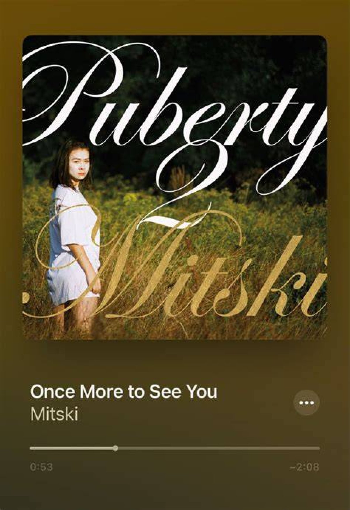 Once More to See You – Unlocking the Emotional Depths of Yearning and Secrecy