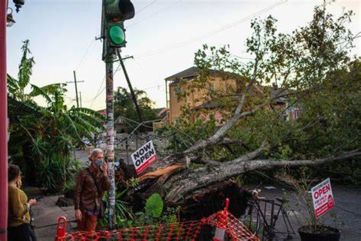 One Louisiana Island Tries to Make Sense of Hurricane Zeta’s Toll