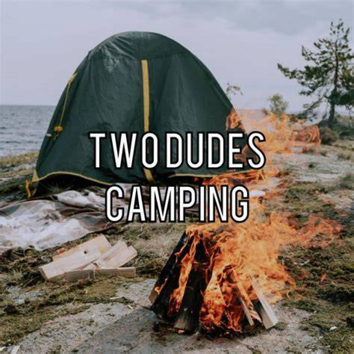 Only Dudes: the Ultimate Guide to Brotherhood and Beyond