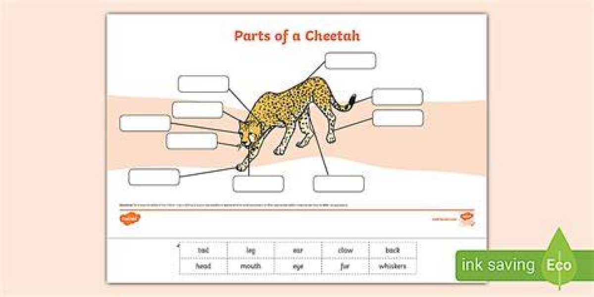 Parts of a Cheetah's Pattern