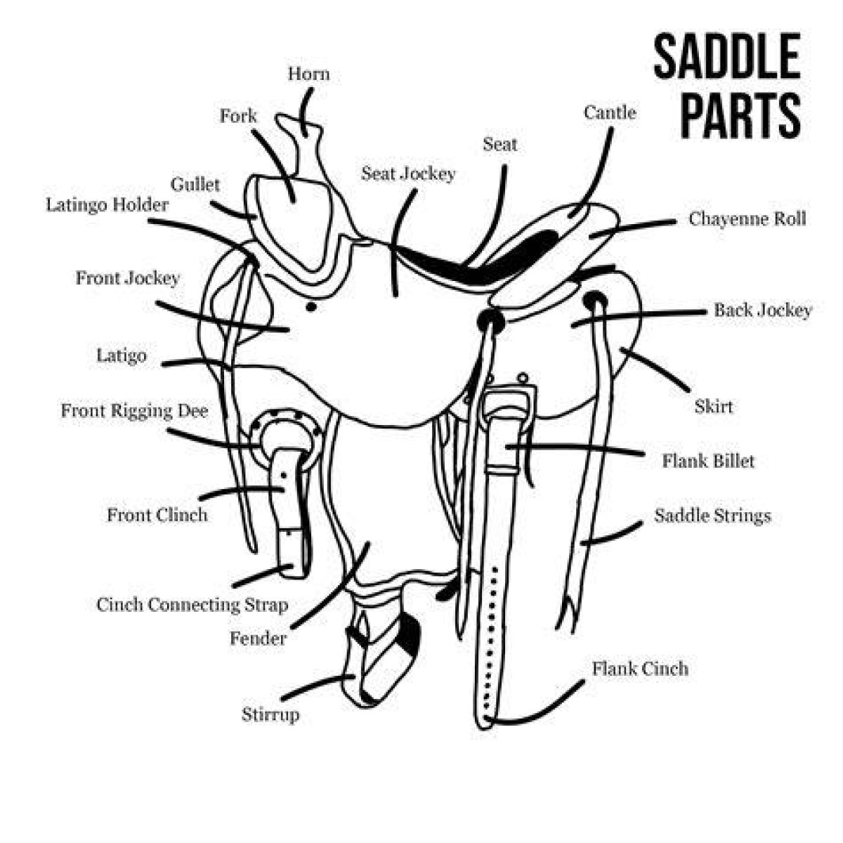 Parts of the Western Saddle — Printable Worksheet