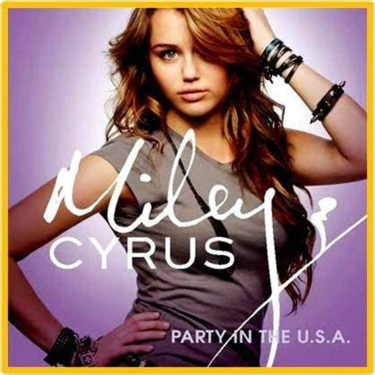 Party in the ___ (Miley Cyrus Song)