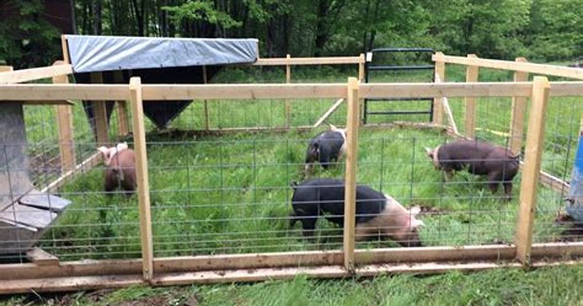 Pen on a Hog Farm