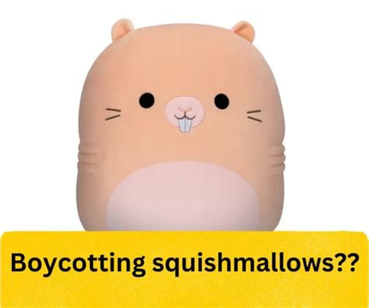 People Are 'Boycotting' Squishmallows Following Ceo's Support for Israel