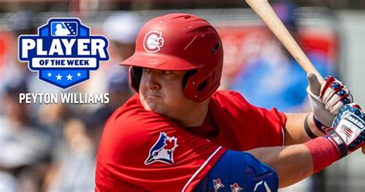 Peyton Williams Stats & Scouting Report — College Baseball, Mlb Draft, Prospects