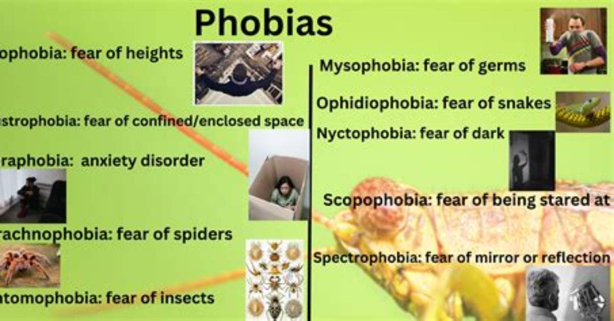 Phobia