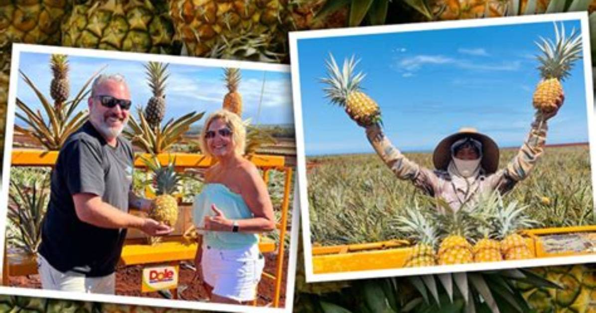 Pineapple Company