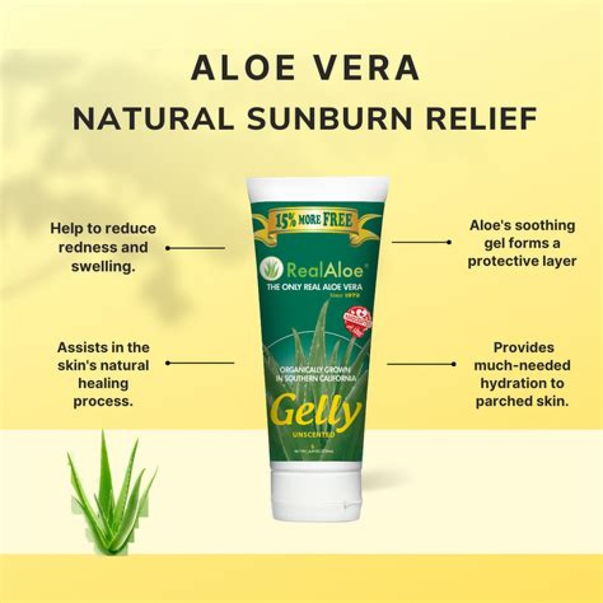Plant Gel That Can Help Heal Sunburns