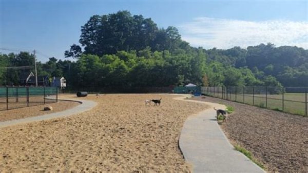 Playground Guide: Pines Recreation Area in Groveland