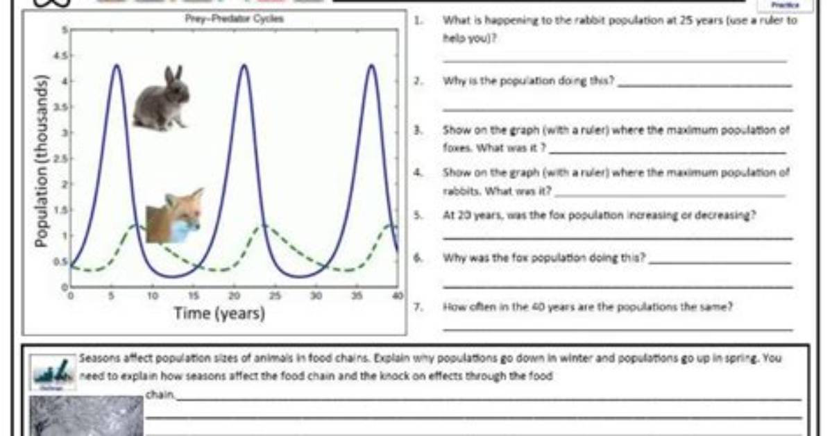 Predator-Prey Graph — Printable Worksheet