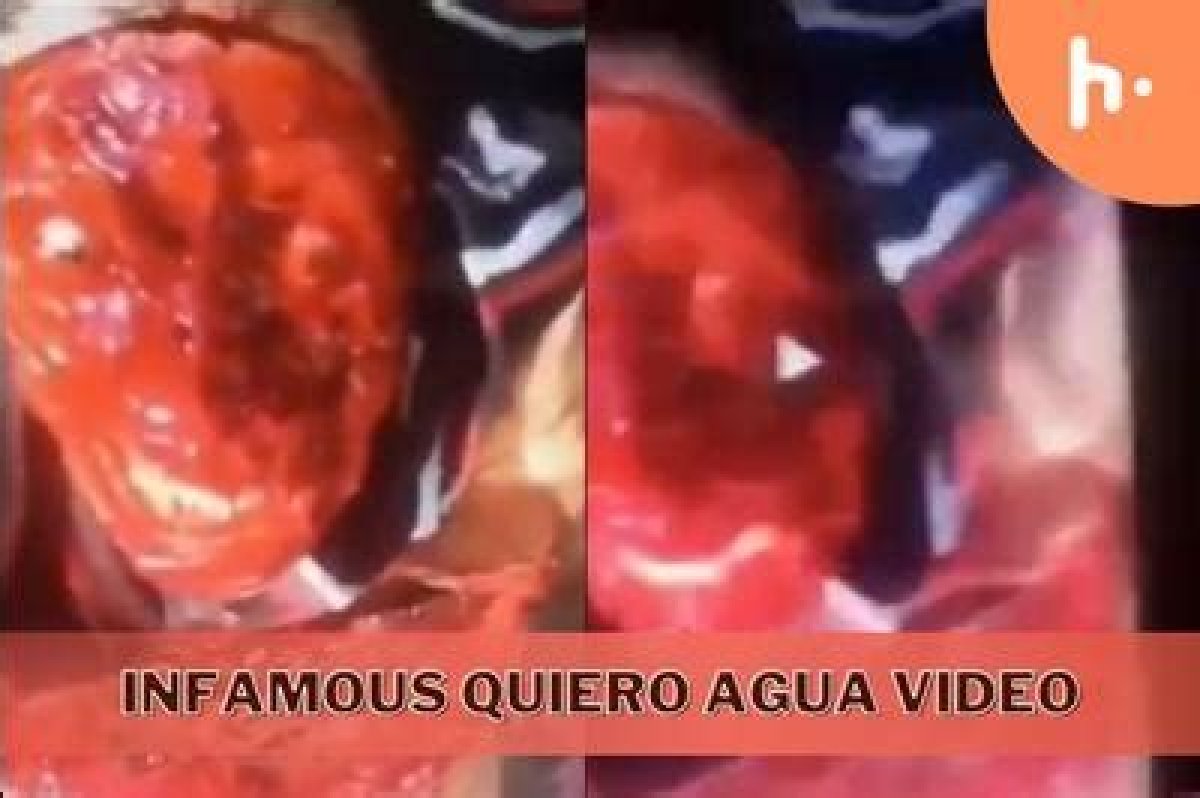 Quiero Agua Video Completo: Everything You Need to Know