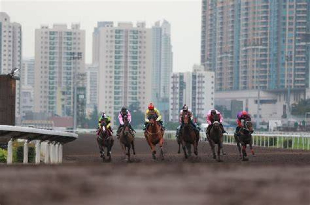Race Result | 14 Apr 2024 | Sha Tin | Race 10 Jianguomen Handicap | Hk Racing