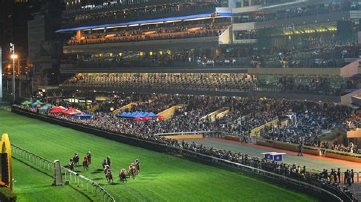 Race Result | 17 Apr 2024 | Happy Valley | Race 5 Bowen Handicap - Sec1 | Hk Racing