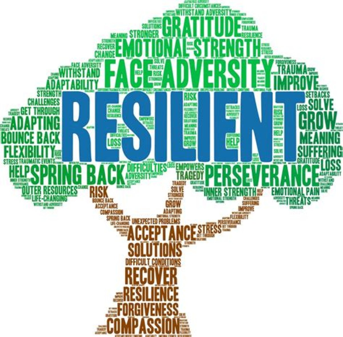 Ready to Fall – the Anthem of Resilience and Reflection