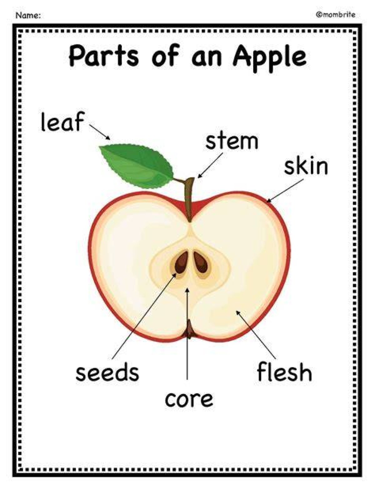Removed Some Undesirable Parts from an Apple