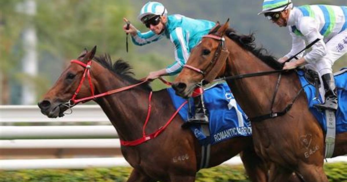 Romantic Warrior Outlasts Voyage Bubble in Gold Cup Thriller: ‘He’s the Undisputed Champion’ | Hk Racing