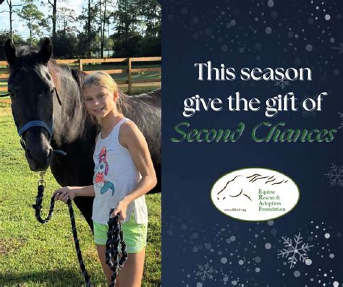 Second Chances at Equine Rescue and Adoption Foundation