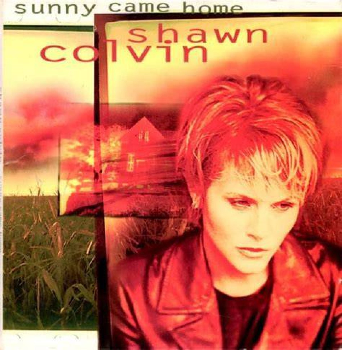 Shawn Colvin’s “Sunny Came Home” Lyrics Meaning