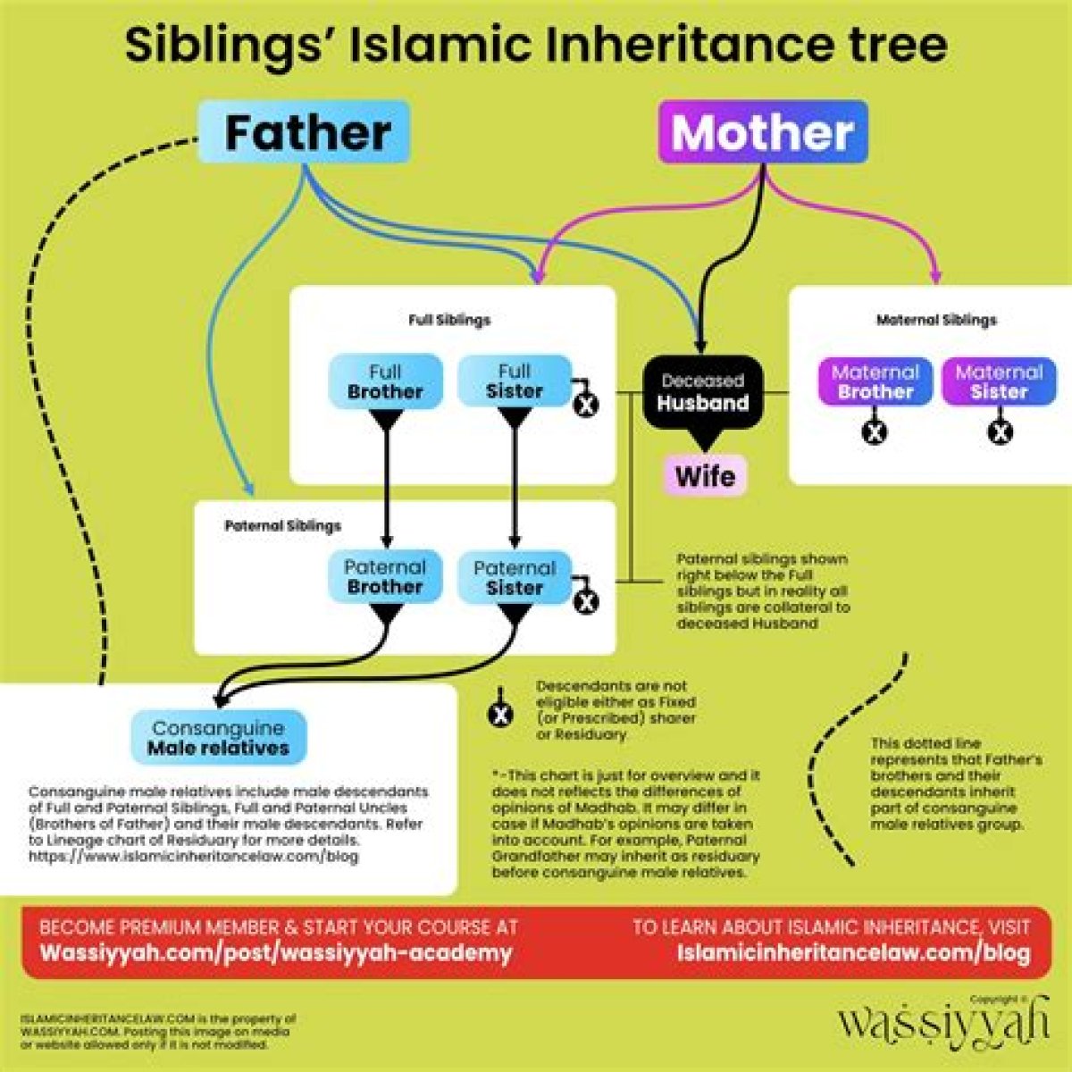 Sibling Inheritance Laws in Louisiana: Key Considerations for Smooth Resolutions in Sibling Inheritance.