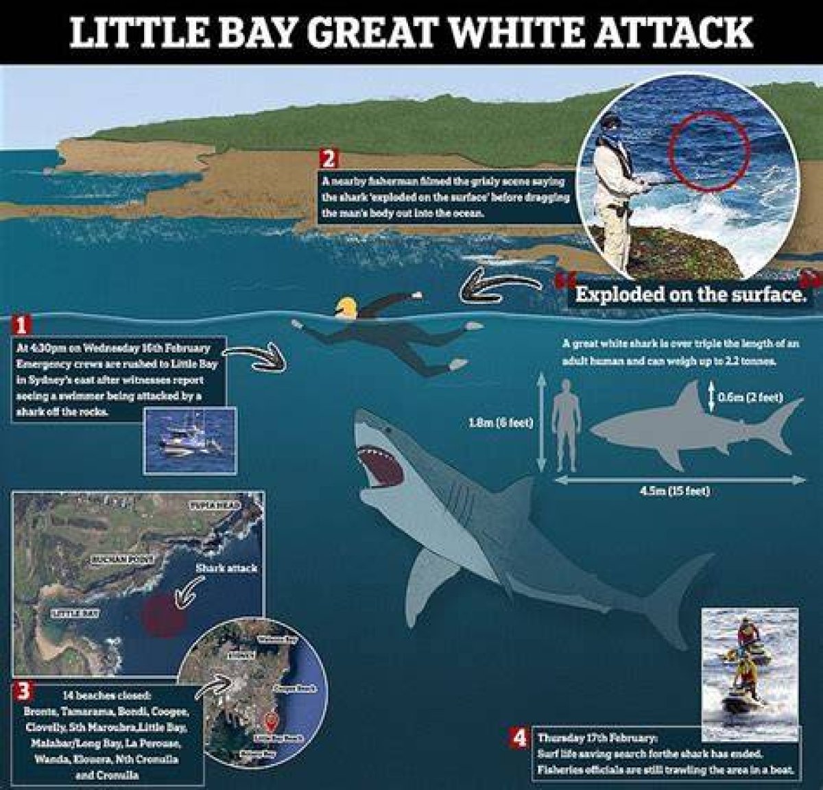 Simon Nellist Footage of Shark Attack at Sydney and His Autopsy Report