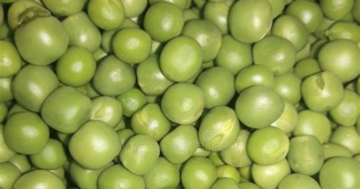 Small Spherical Vegetable