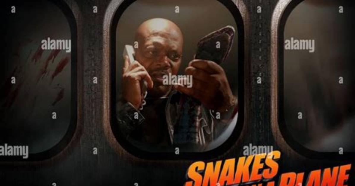Snakes ___ Plane: 2 Wds.