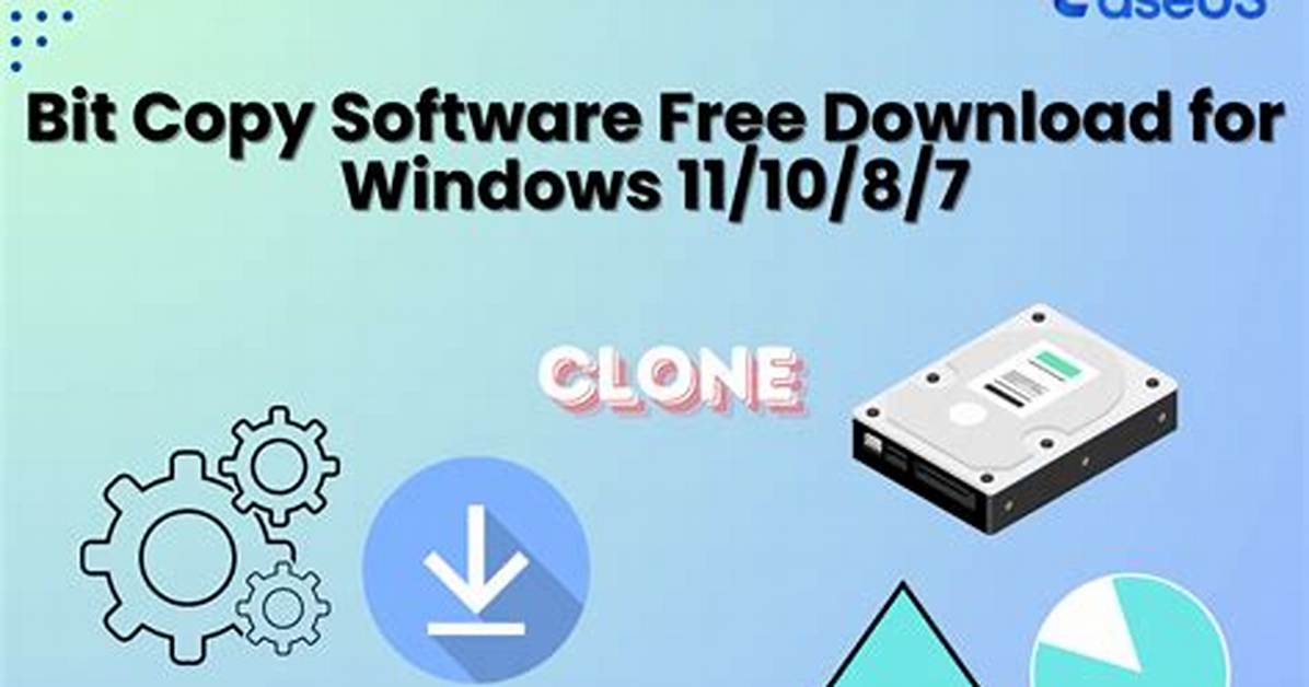 Software Menu That Contains the Copy and Paste Functions