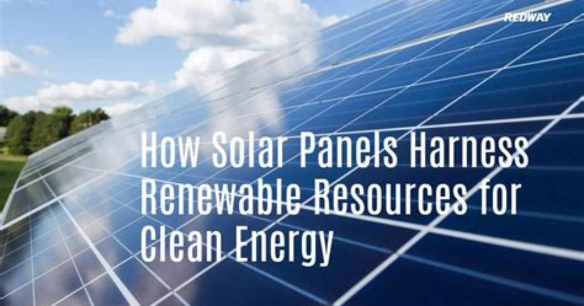 Solar ___ (Group of Panels That Harness Energy from the Sun)