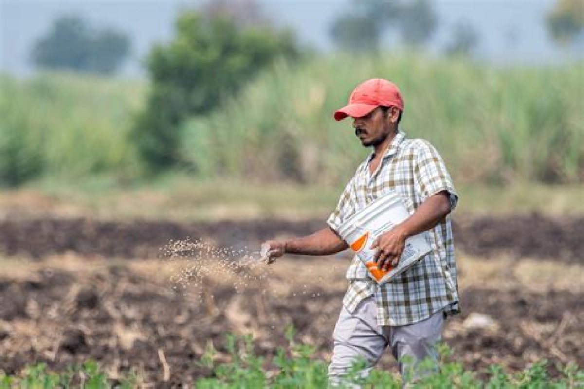 Sowing the Seeds of Fear at Cox Farms