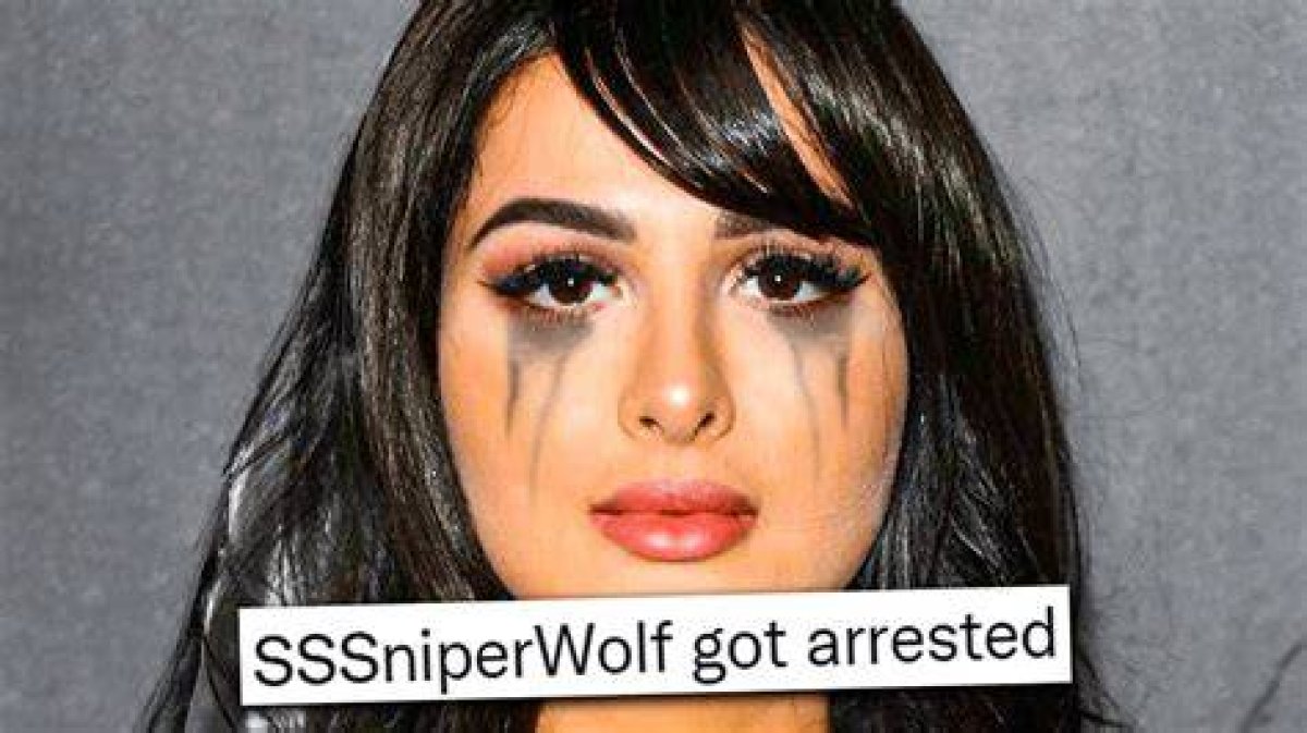 Sssniperwolf Arrested: the Untold Story Behind the Controversy