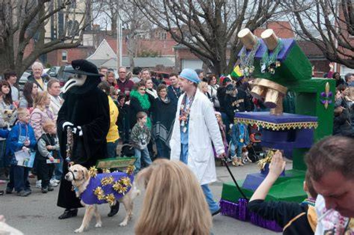 St. Louis Annual Mardi Gras Pet Parade in Soulard