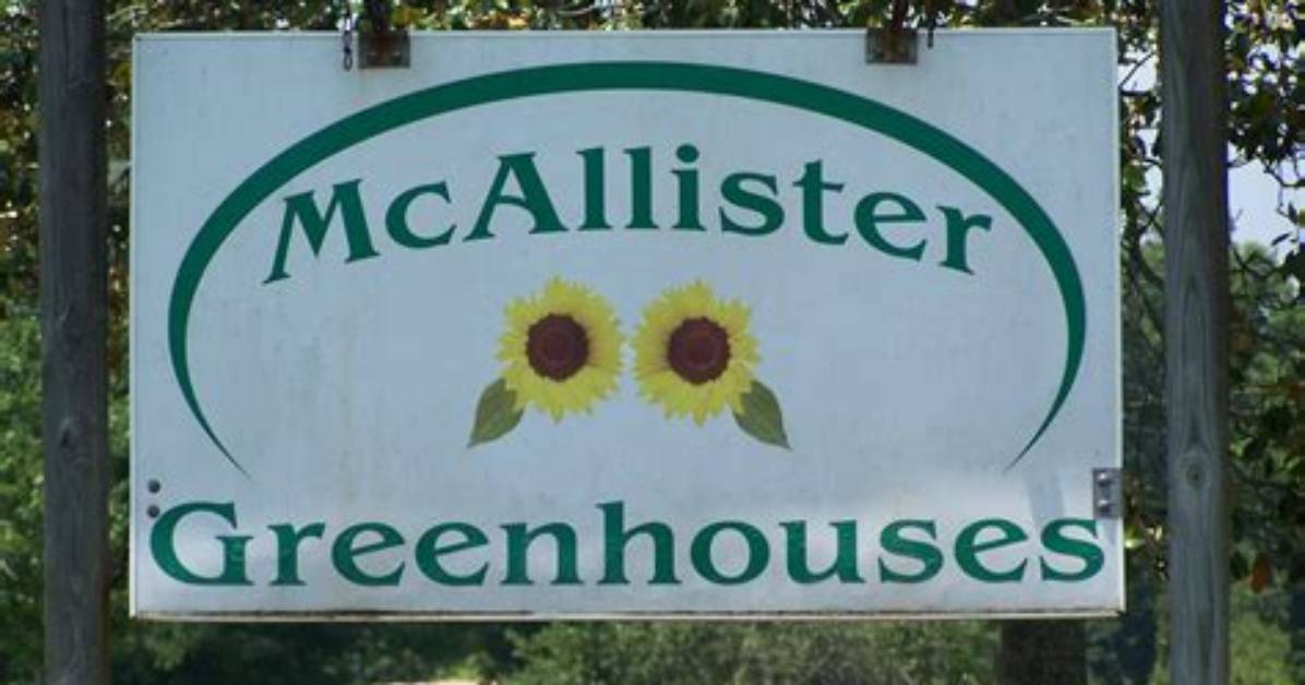 Steve Mcallister Obituary: Mcallister Greenhouses, Inc. Owner Died Due to Car Accident