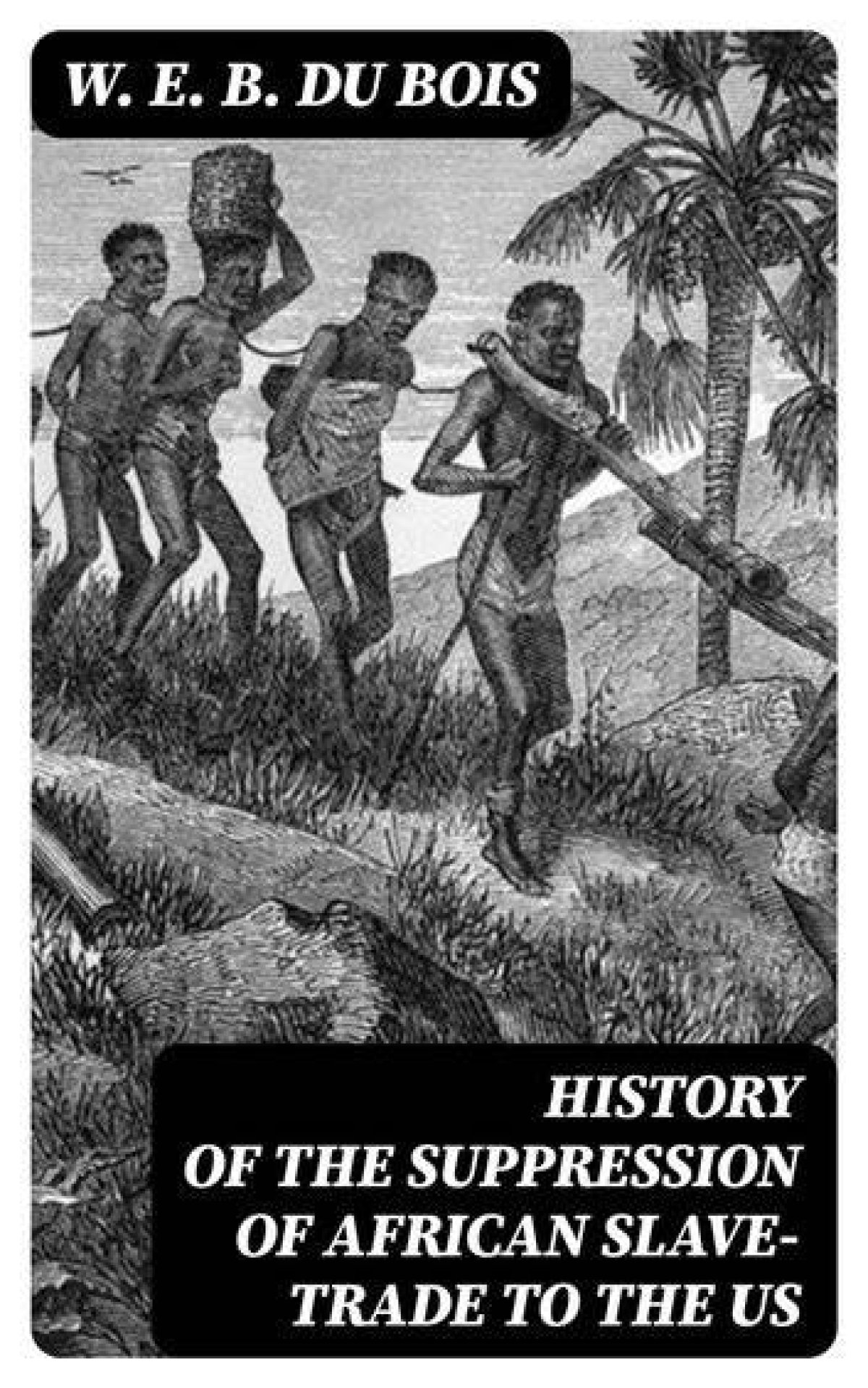 Suppression of the Slave Trade | History Detectives