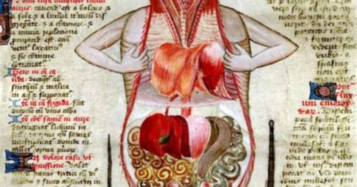 Tarrare Organ: Unveiling the Mysteries of a Rare Medical Condition