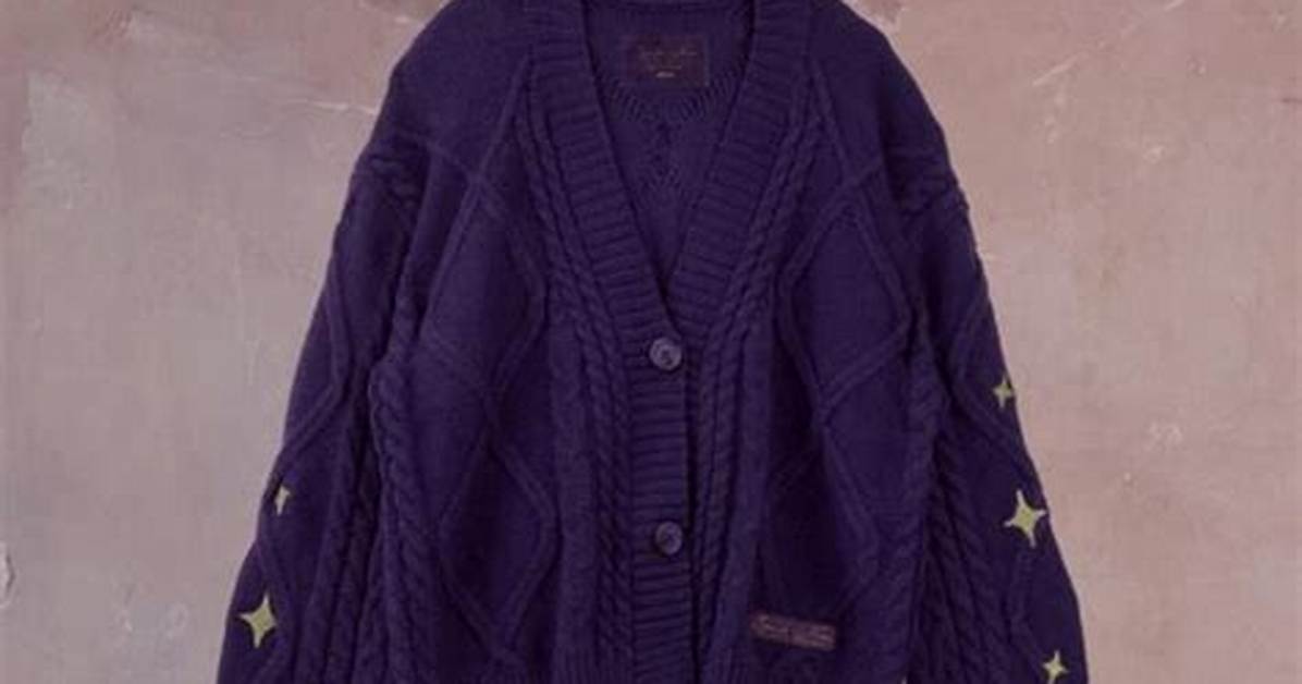 Taylor Swift's Speak Now Cardigan with Gold Star Patches Is the Cutest Thing Ever