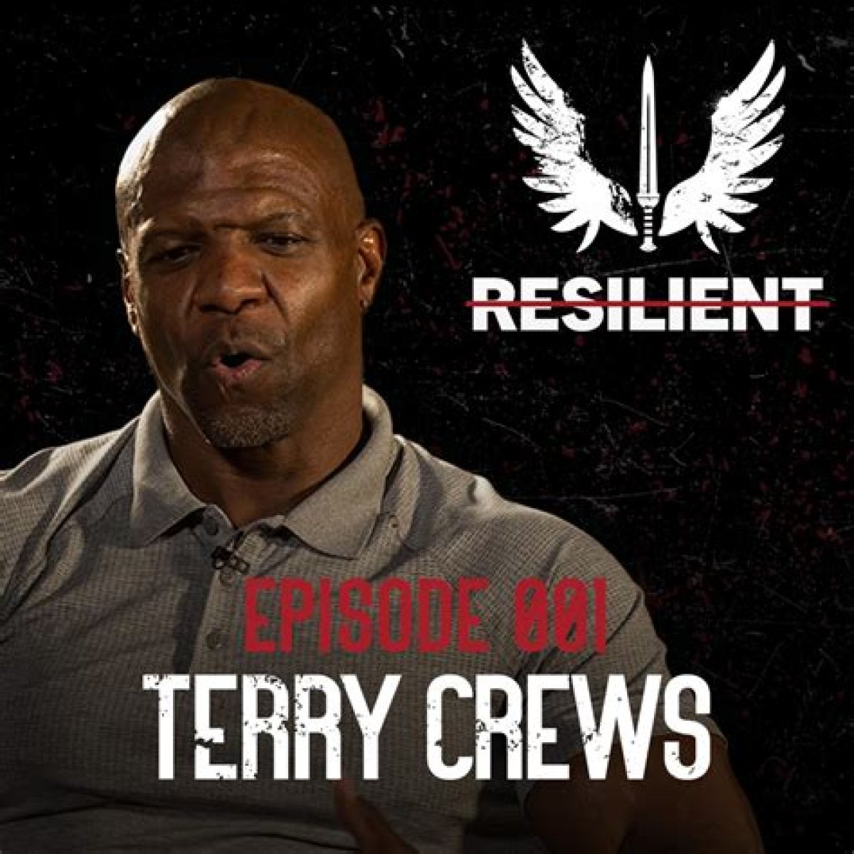 Terry Amey: the Journey of a Resilient Entrepreneur