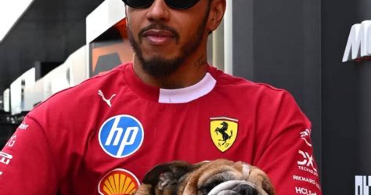 ‘That’s His Decision’ - Lewis Hamilton Refuses to Get Involved in Felipe Massa’s F1 2008 Title Lawsuit | F1