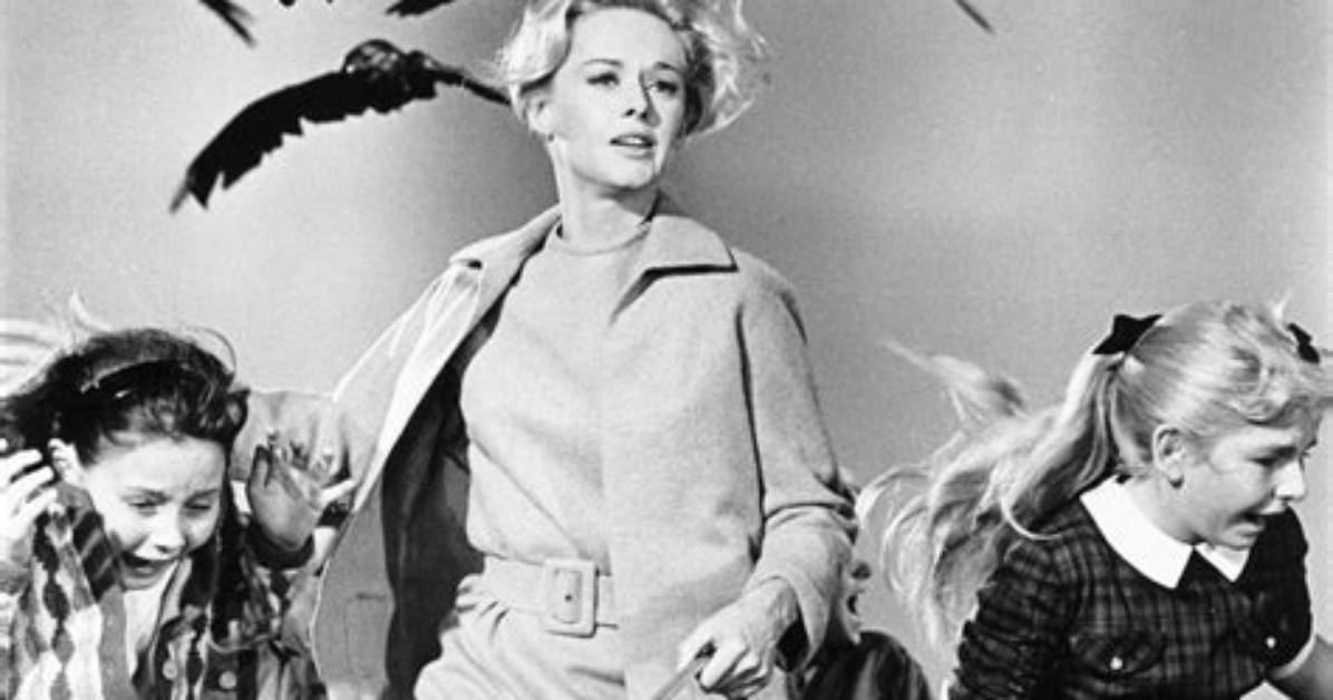 The ___ 1963 Horror Movie by Alfred Hitchcock with No Soundtrack That Was Nominated for an Oscar