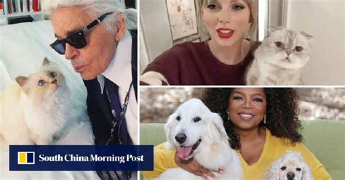 The 8 Richest Pets in the World: Meet Taylor Swift and Oprah’s Celebrity Dogs and Cats … and Gunther Vi, a German Shepherd Worth Us$500 Million Who Lives in Madonna’s Old Home