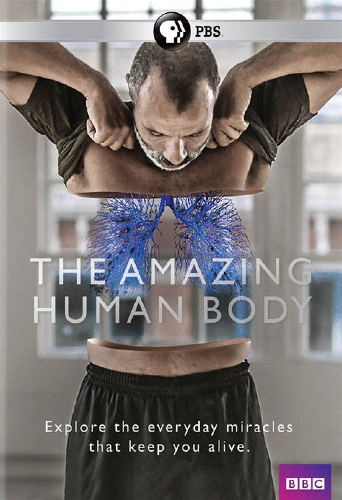 The Amazing Human Body | Pbs