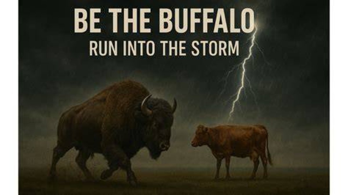 The American Buffalo | into the Storm | Now Streaming