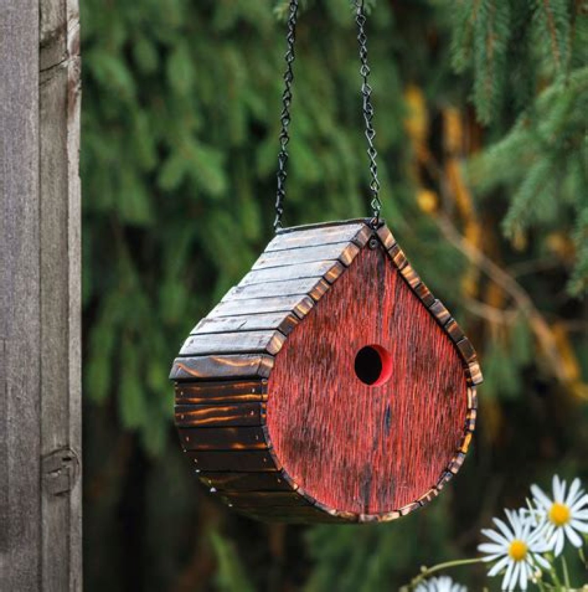 The Best Birdhouse Designs to Pick up This Spring