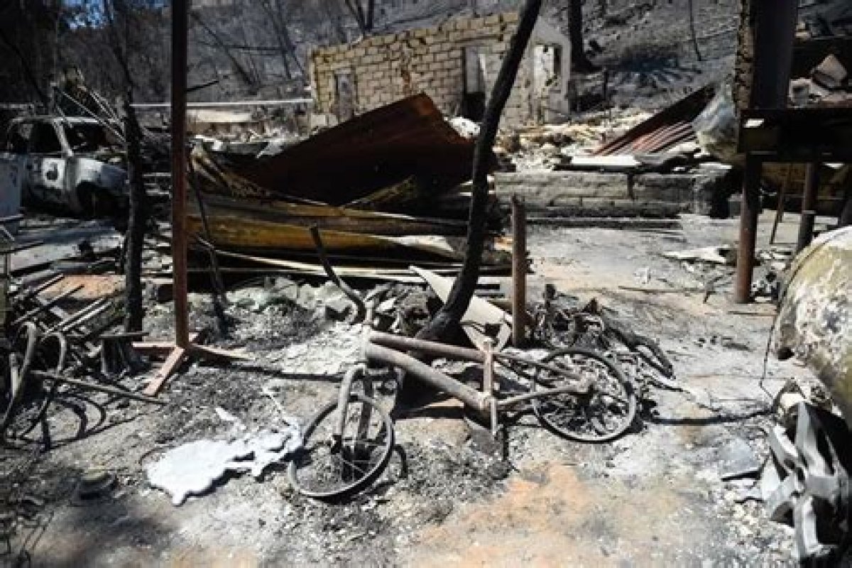 The Death Toll from Chile’s Wildfires Reaches 131, and More Than 300 People Are Missing