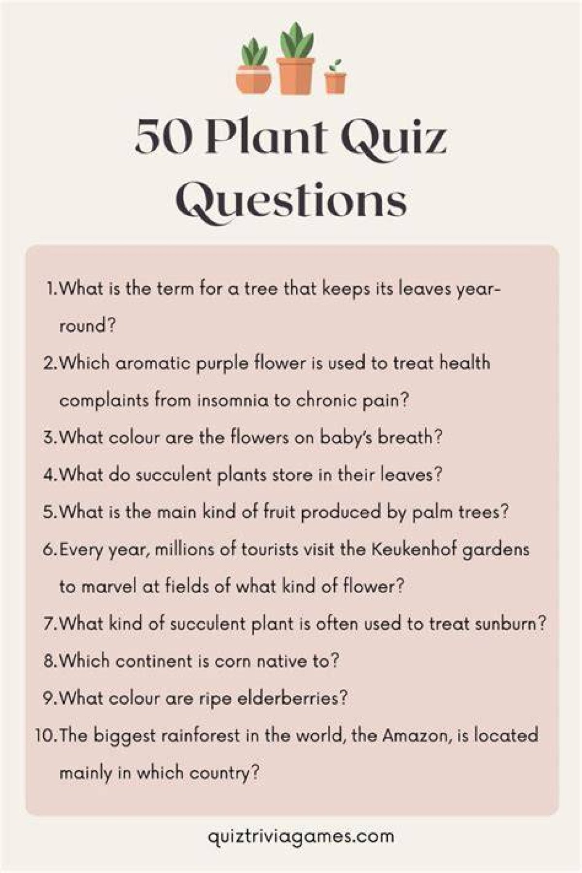 The Victory Garden. Ask. Questions & Answers: Trees & Shrubs